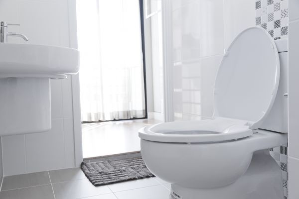Cost of Toilet Relocation in Camarillo